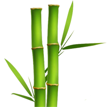 Bamboo Slider